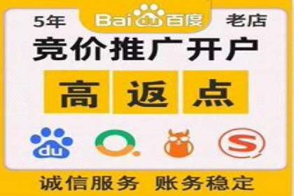 SEM代运营案例：企业增长动力源泉